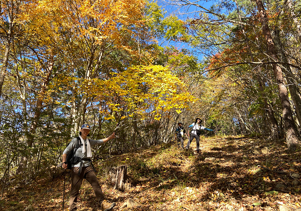 【茅ヶ岳・金ヶ岳登山】紅葉が綺麗でした！