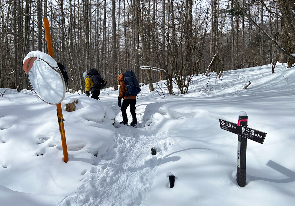 林道も雪が積もりカーブミラーが我々の背丈ほどにあった！