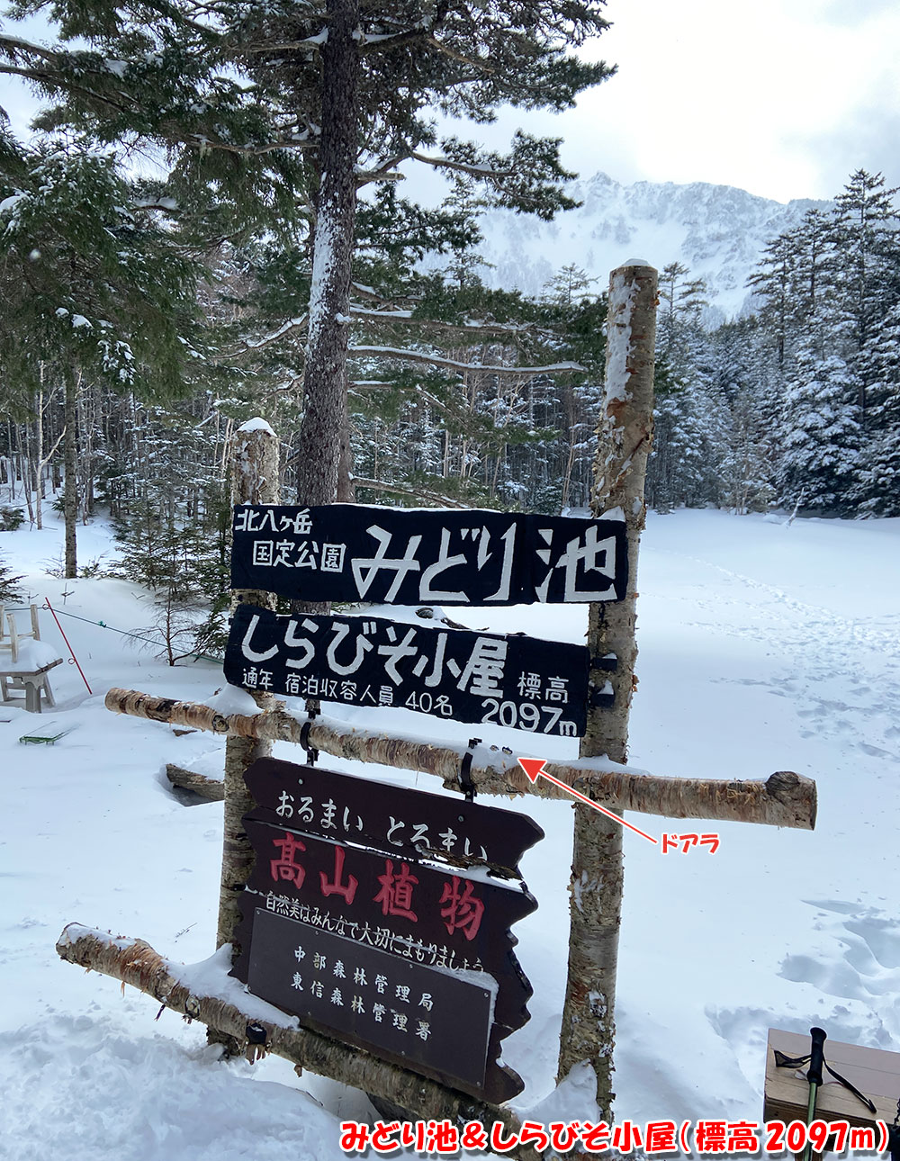みどり池＆しらびそ小屋（標高2097m）