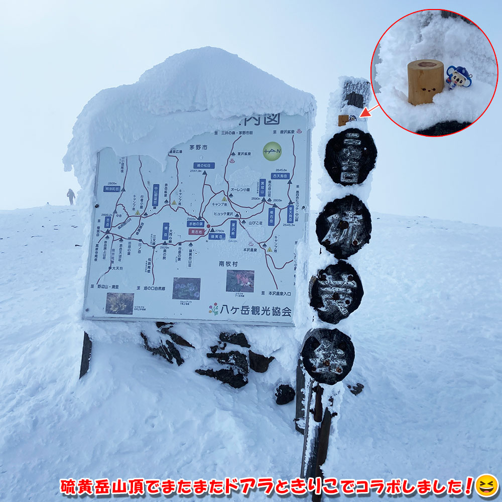 硫黄岳山頂でまたまたドアラときりこでコラボしました！