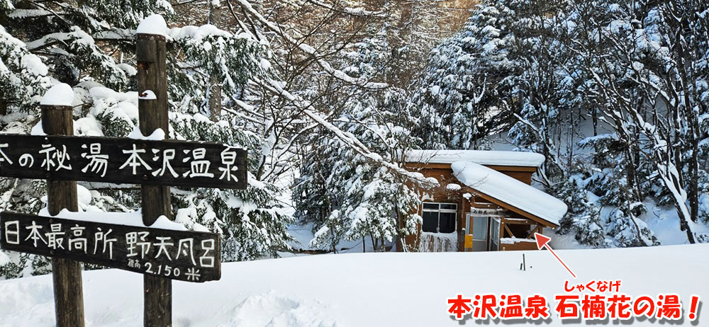 本沢温泉 石楠花の湯