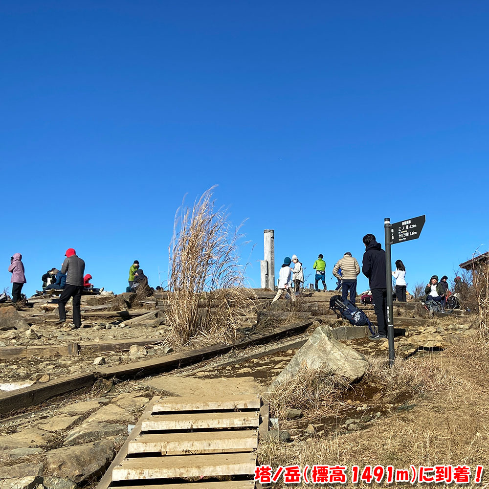 塔ノ岳（標高1491m）に到着！