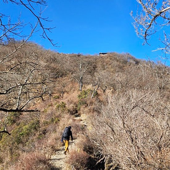 塔ノ岳までもうちょっと！