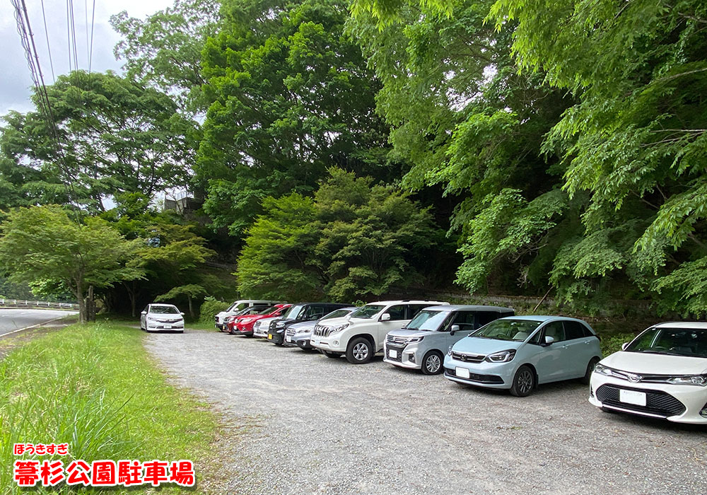 箒杉公園駐車場