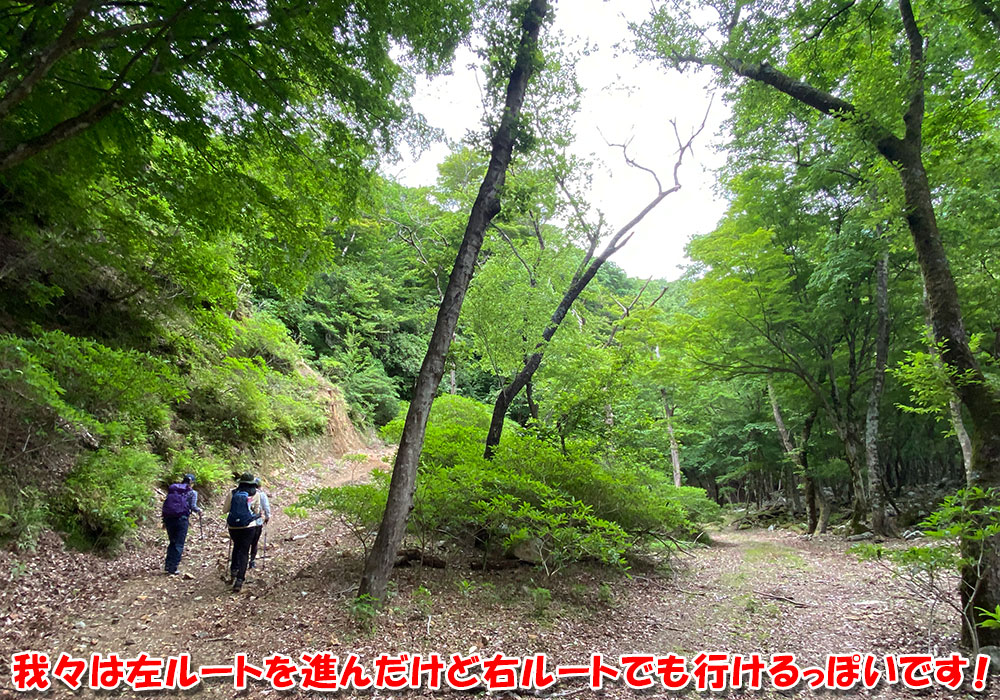 我々は左ルートを進んだけど右ルートでも行けるっぽいです！