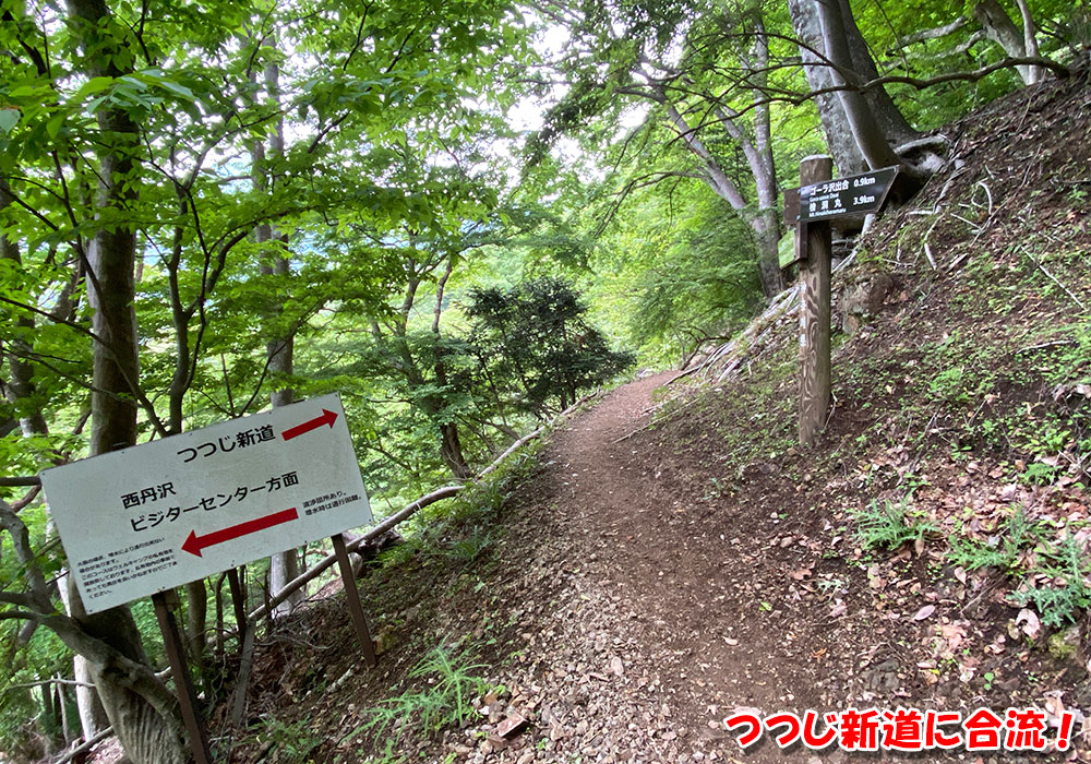 つつじ新道に合流！