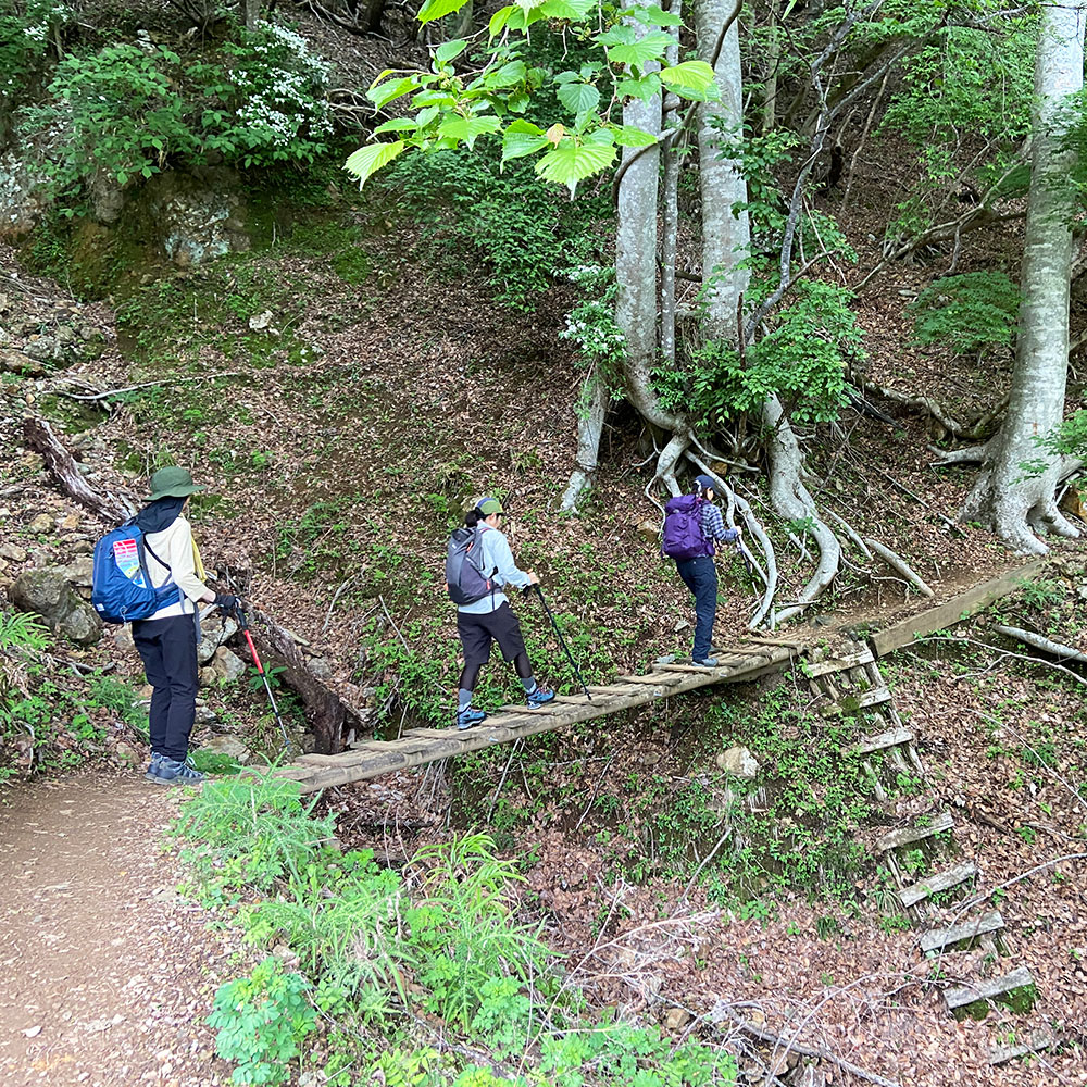 つつじ新道を進む！