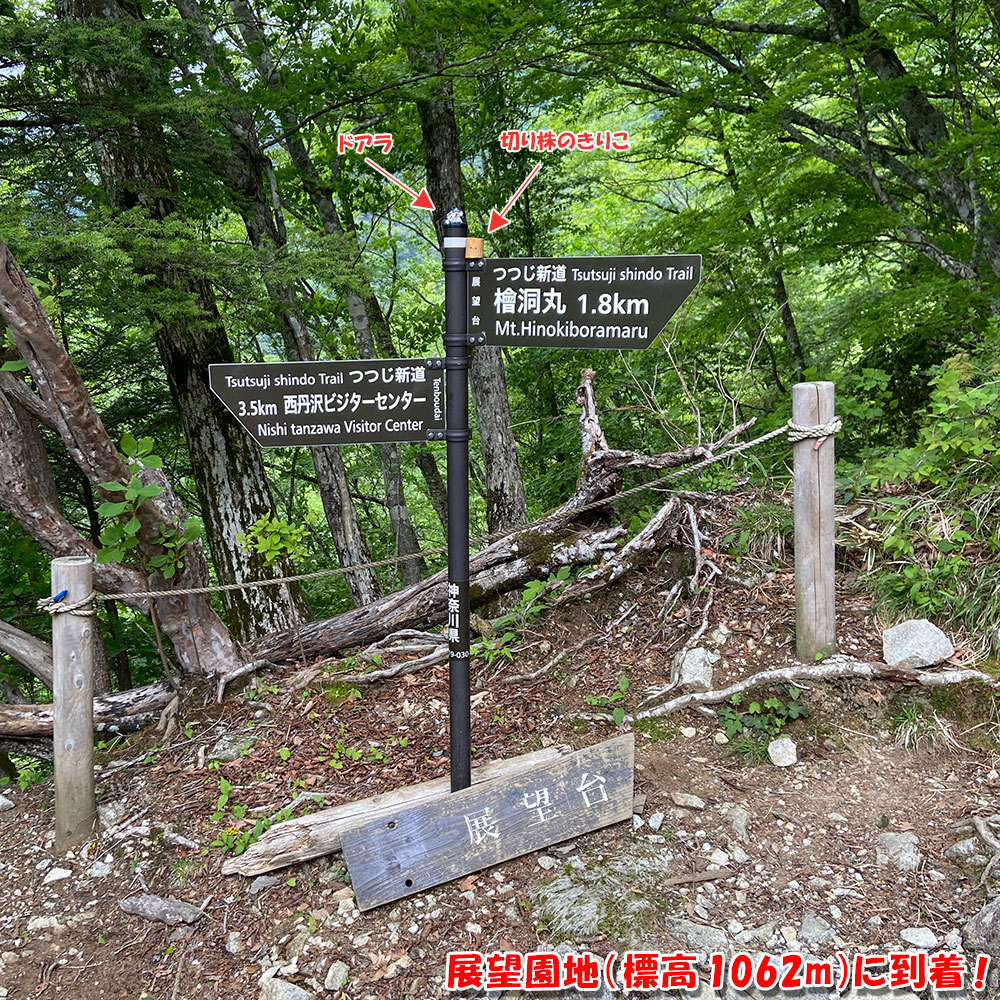 展望園地（標高1062m）に到着！