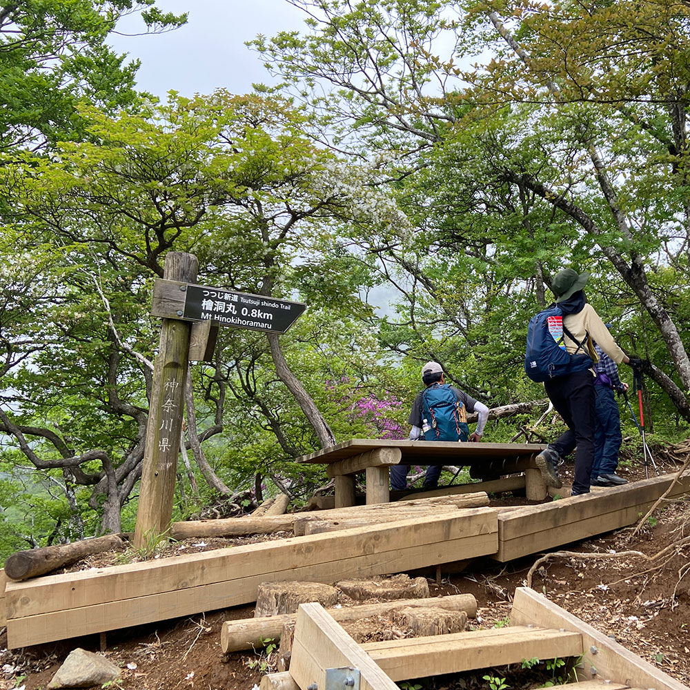 【つつじ新道】展望園地から檜洞丸へ向かう！