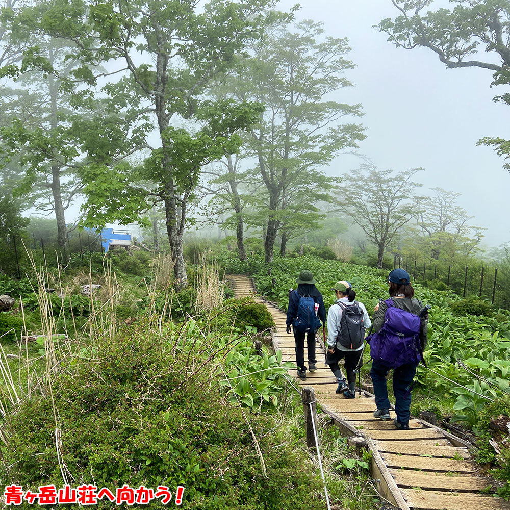 青ヶ岳山荘へ向かう！