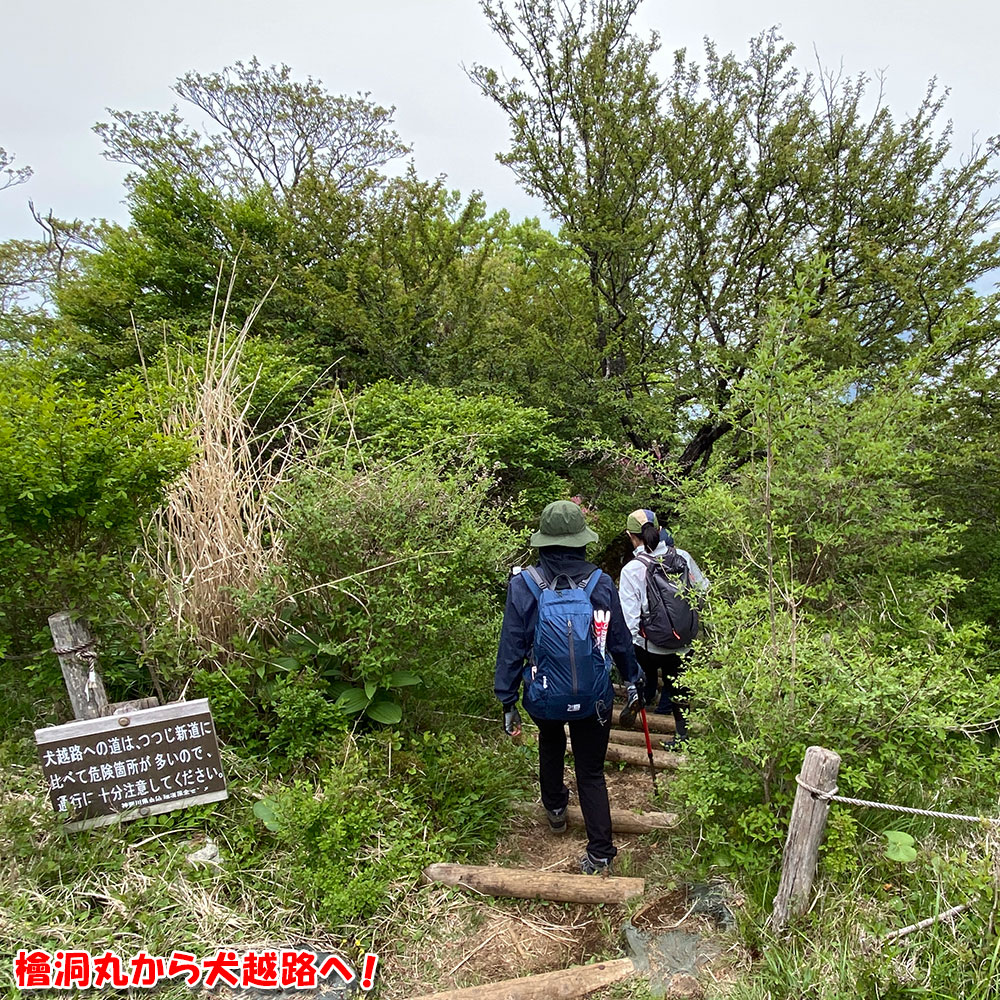 檜洞丸から犬越路へ