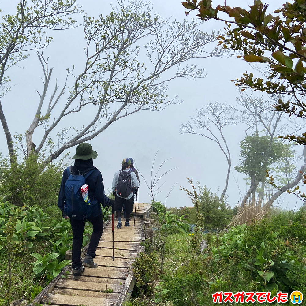 檜洞丸から犬越路へ！ガスガスでした！