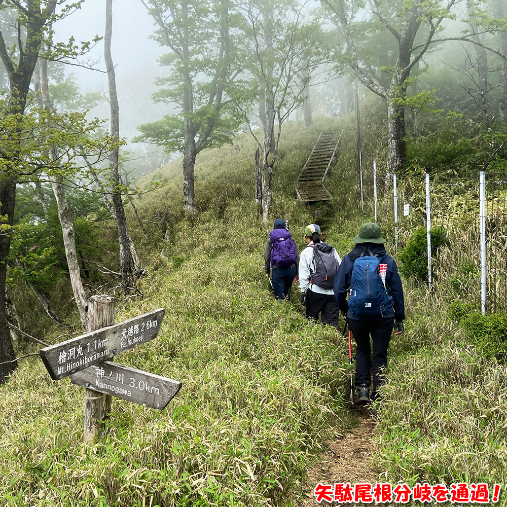 矢駄尾根分岐を通過！