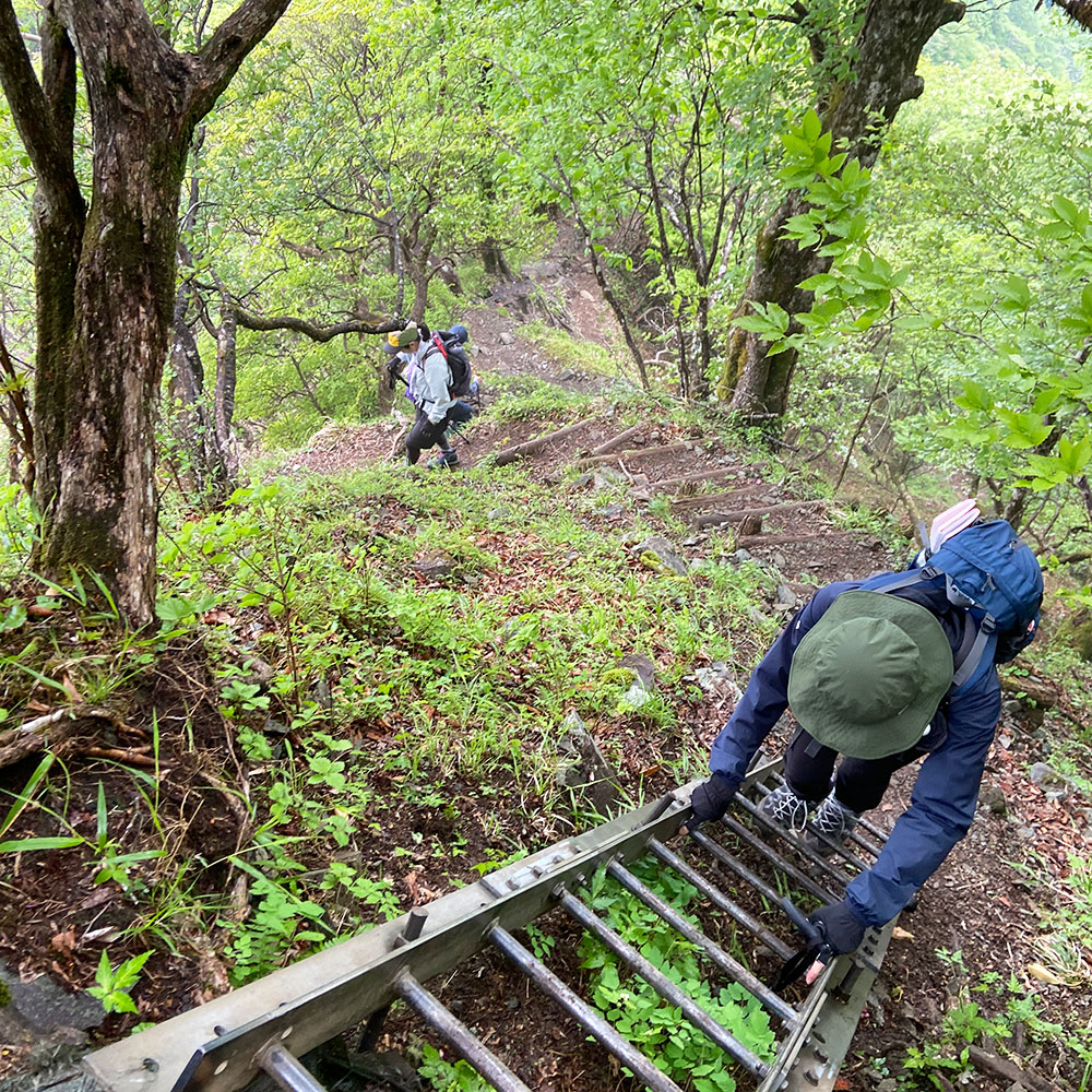 檜洞丸から犬越路へ