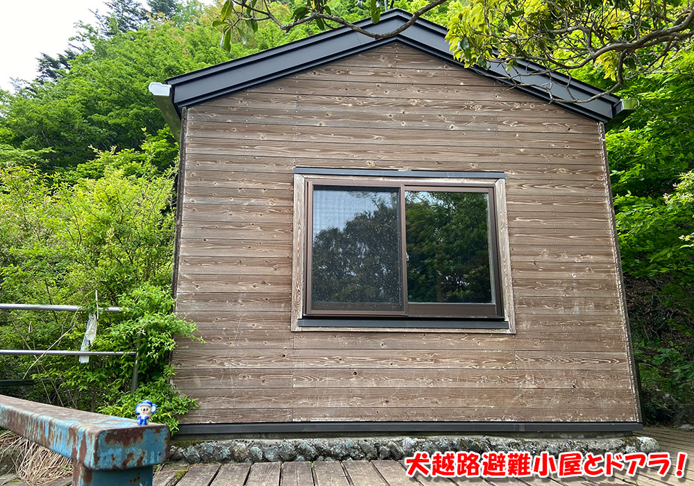 犬越路避難小屋とドアラ！