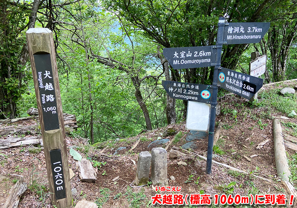犬越路（標高 1060m）に到着
