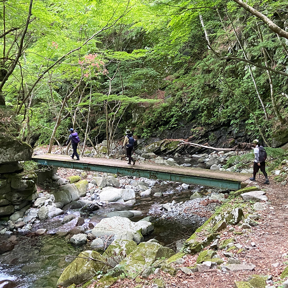 用木沢にかかる橋も渡る