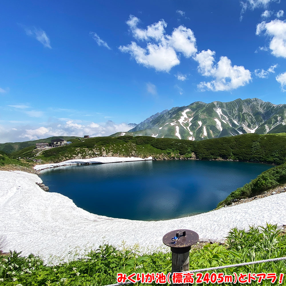 みくりが池（標高2405m）とドアラ！