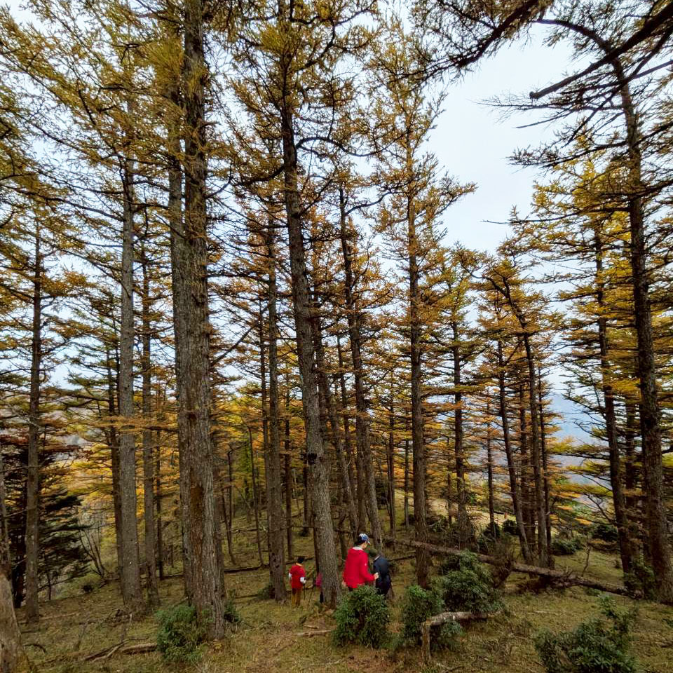 【蛭ヶ岳】袖平山から姫次へ