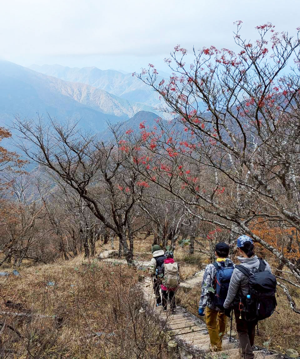 蛭ヶ岳から下山開始