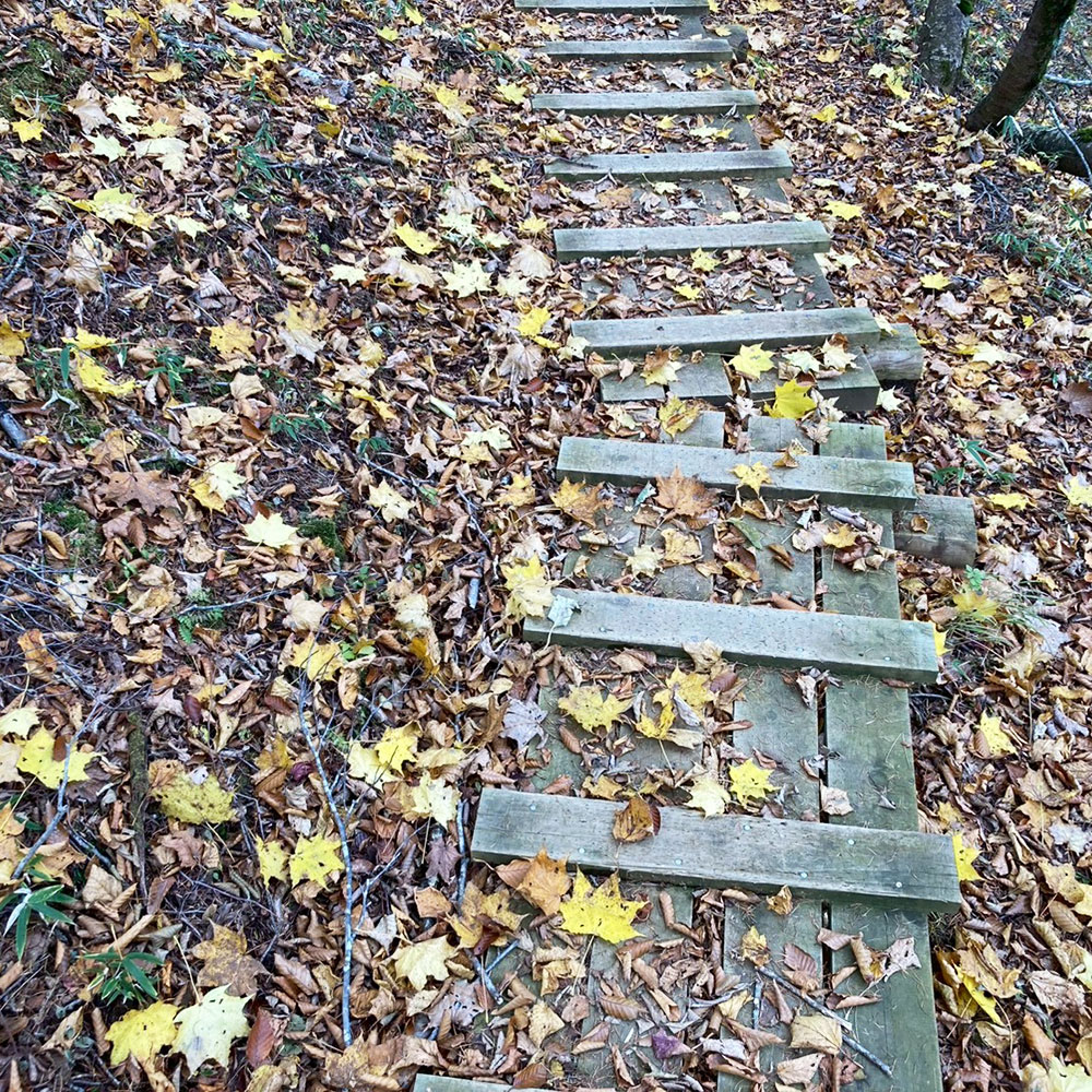 【蛭ヶ岳】黍殻避難小屋から姫次へ