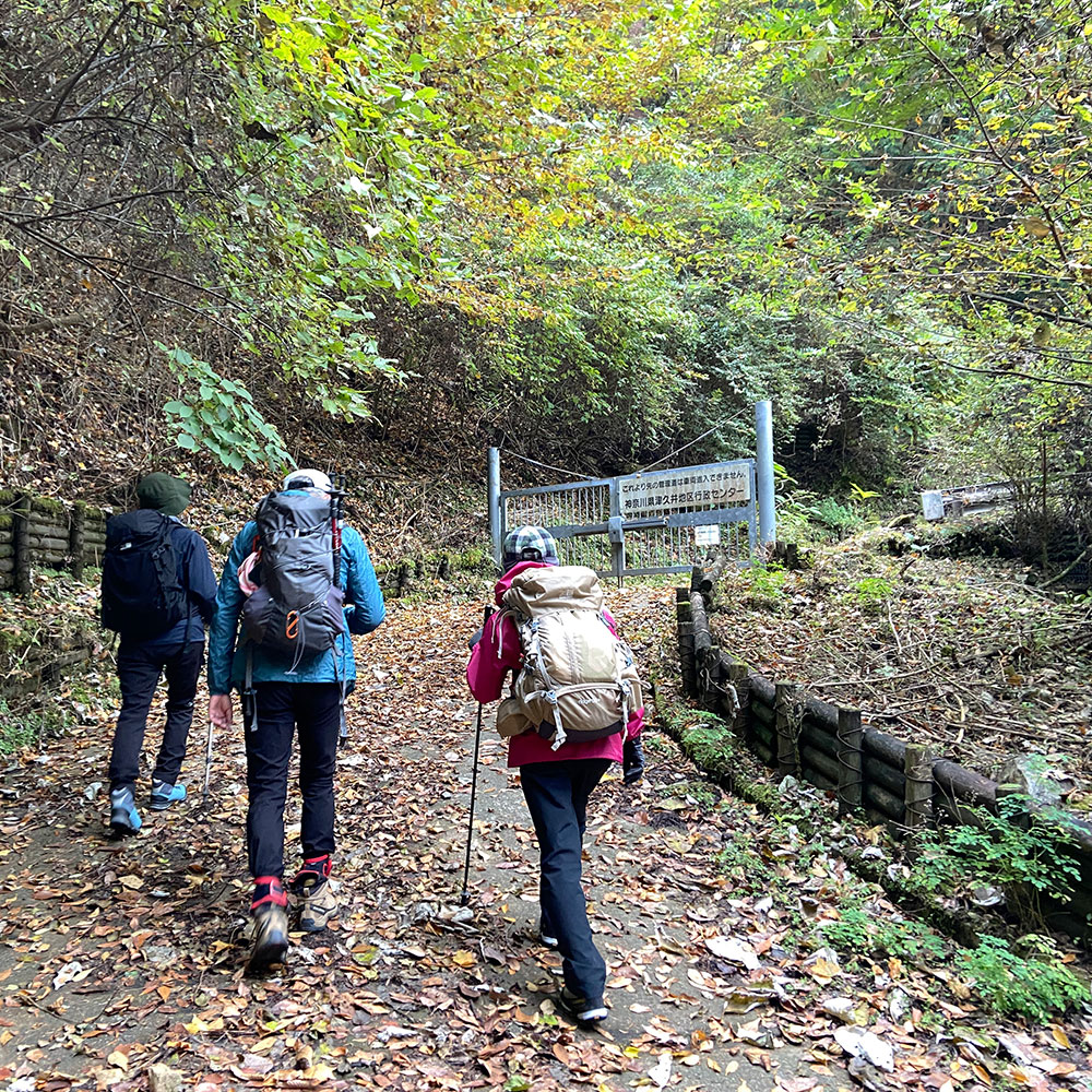 【蛭ヶ岳】釜立林道ゲートから青根分岐へ