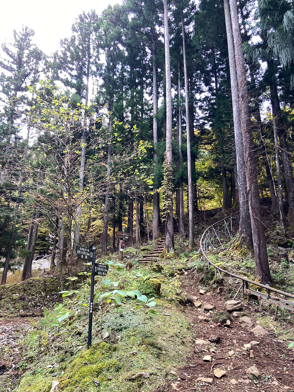 【蛭ヶ岳】釜立林道ゲートから青根分岐へ