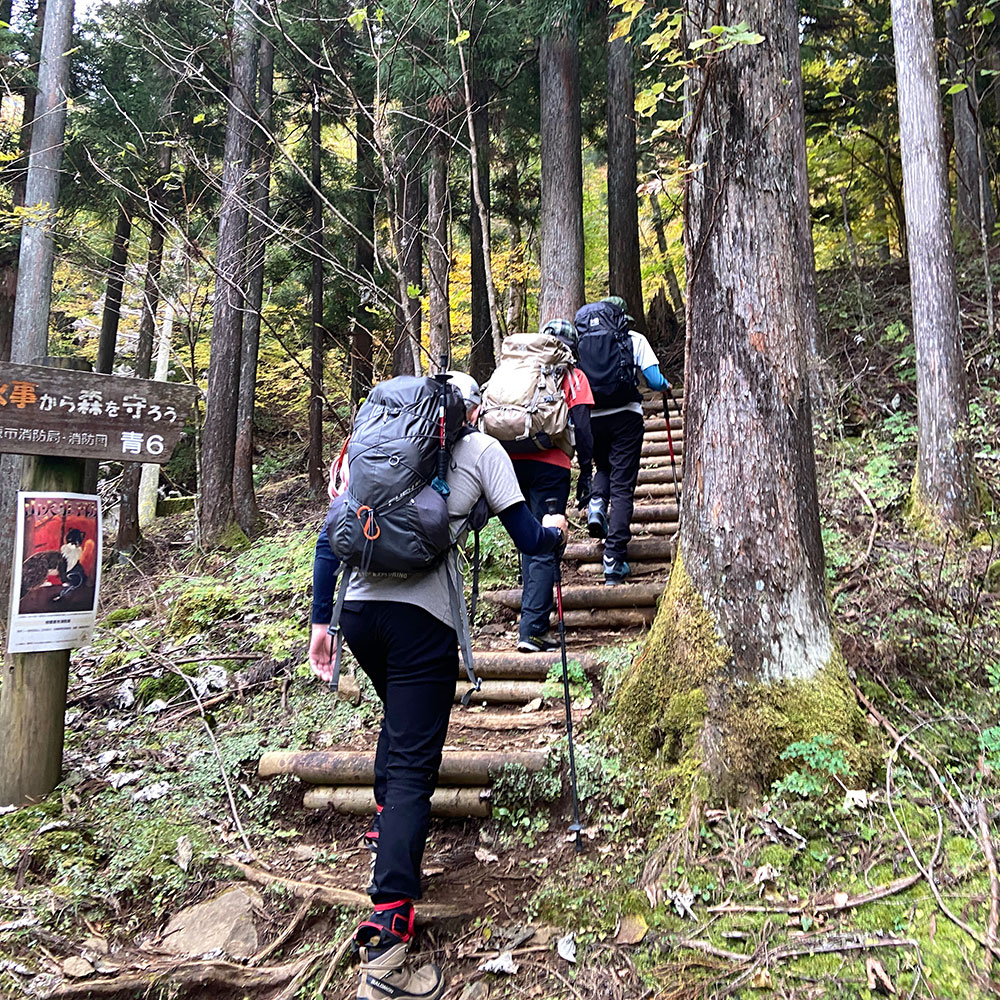 【蛭ヶ岳】釜立林道ゲートから青根分岐へ