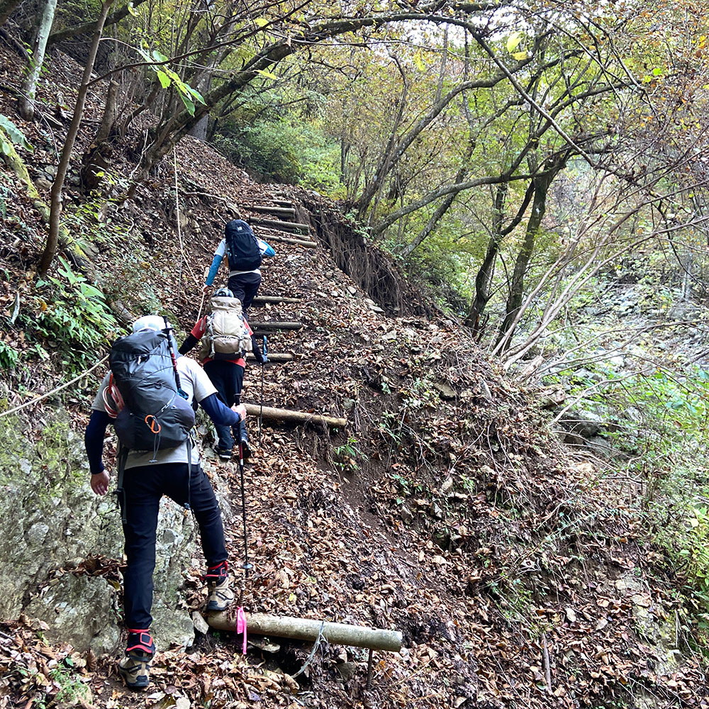 【蛭ヶ岳】釜立林道ゲートから青根分岐へ