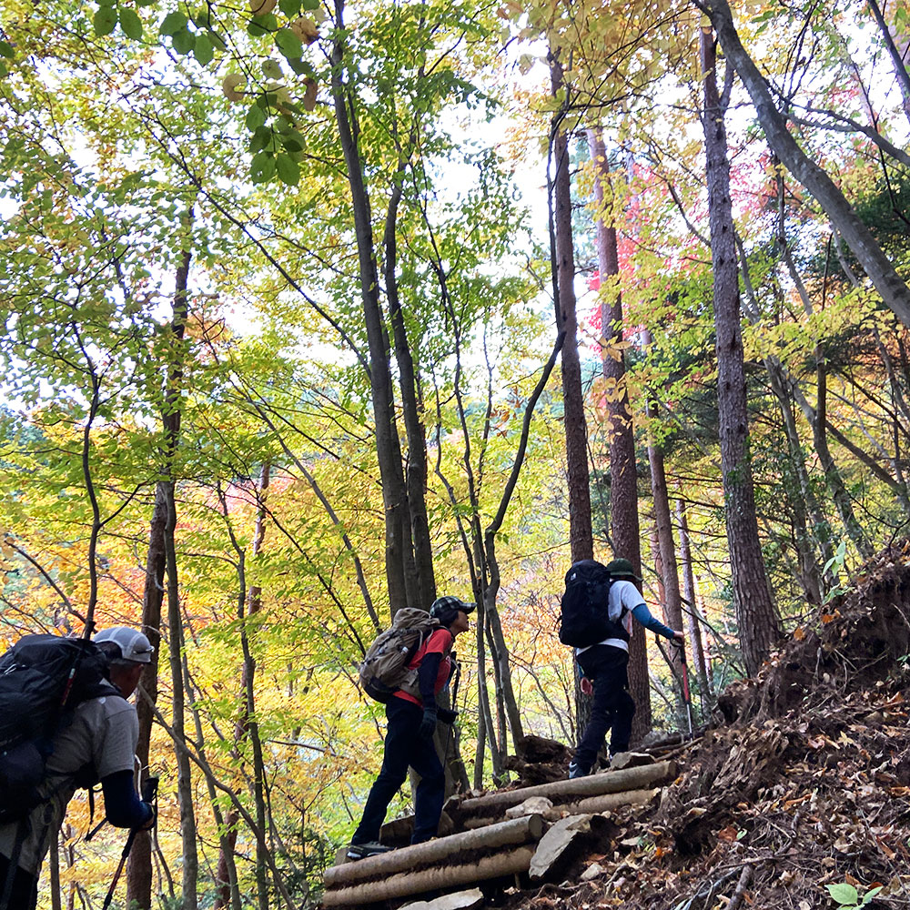 【蛭ヶ岳】釜立林道ゲートから青根分岐へ