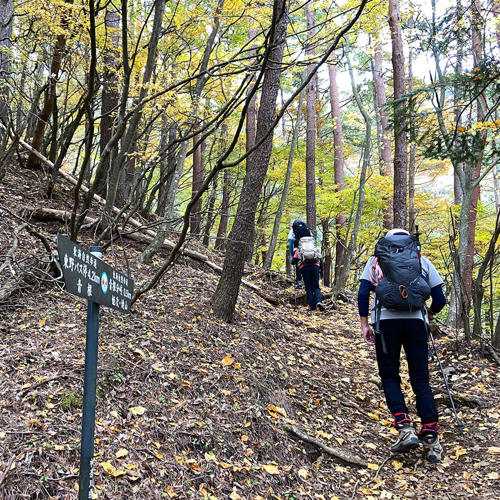 【蛭ヶ岳】釜立林道ゲートから青根分岐へ