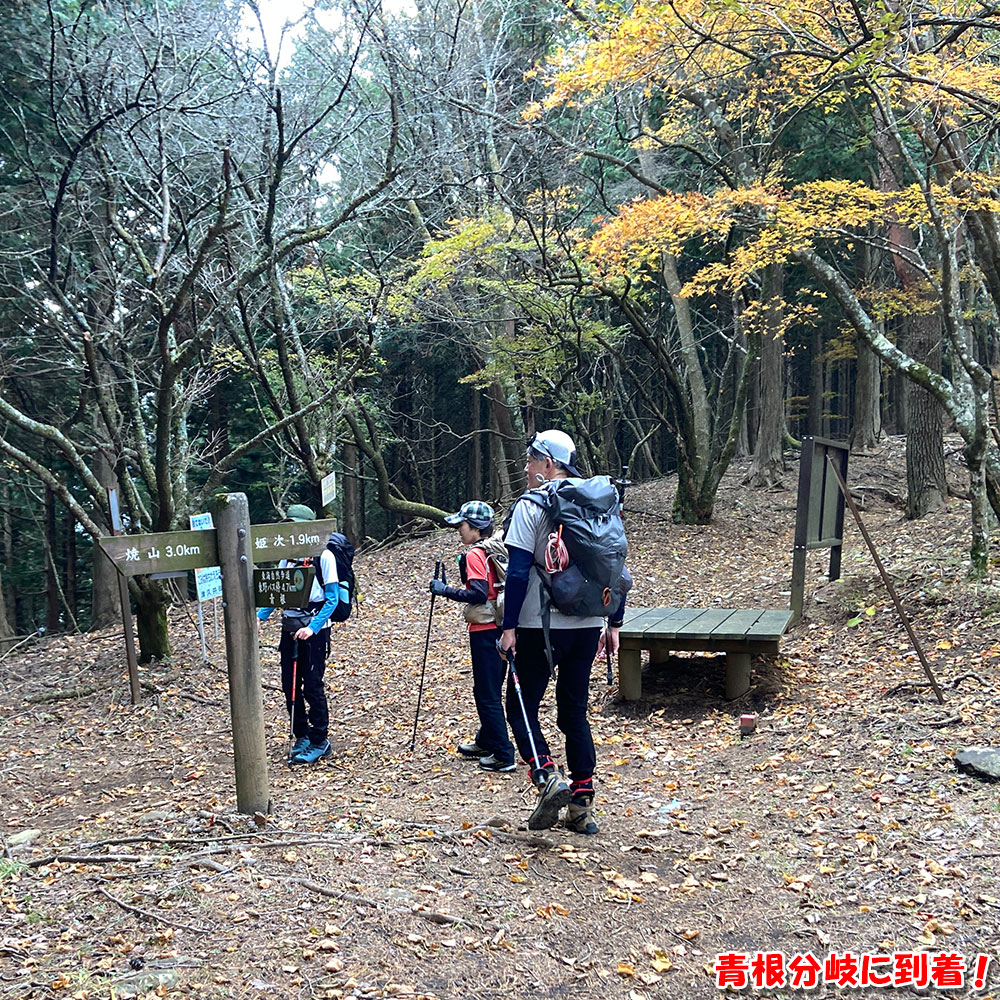 青根分岐に到着!
