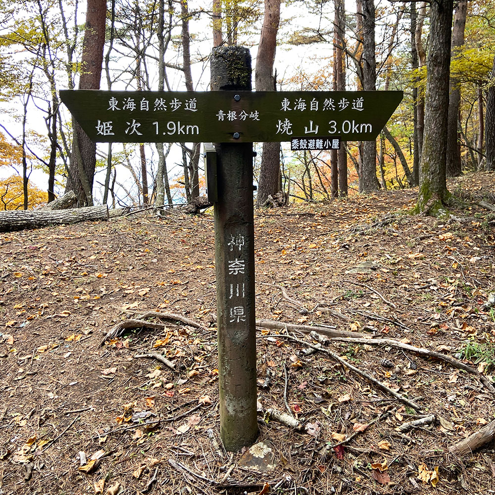 青根分岐に到着!