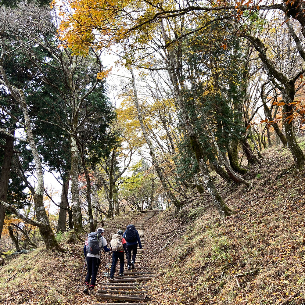 【蛭ヶ岳】黍殻避難小屋から姫次へ