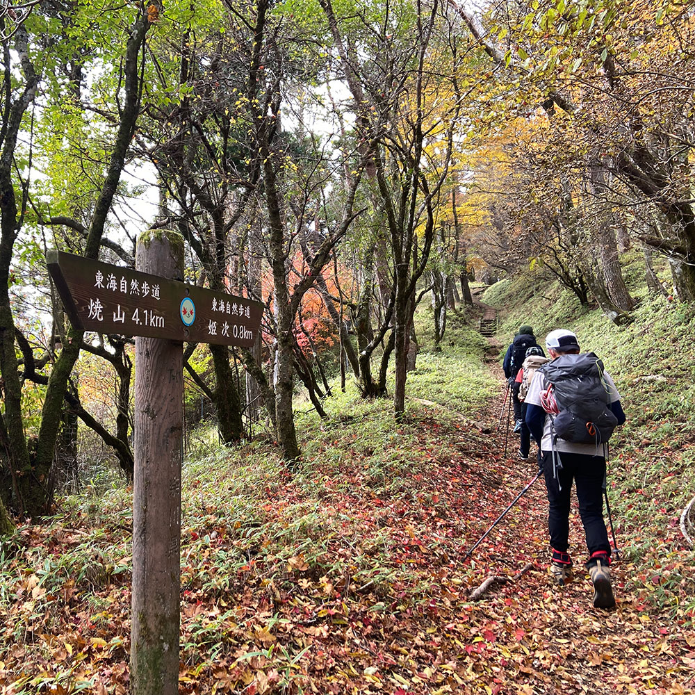 【蛭ヶ岳】黍殻避難小屋から姫次へ