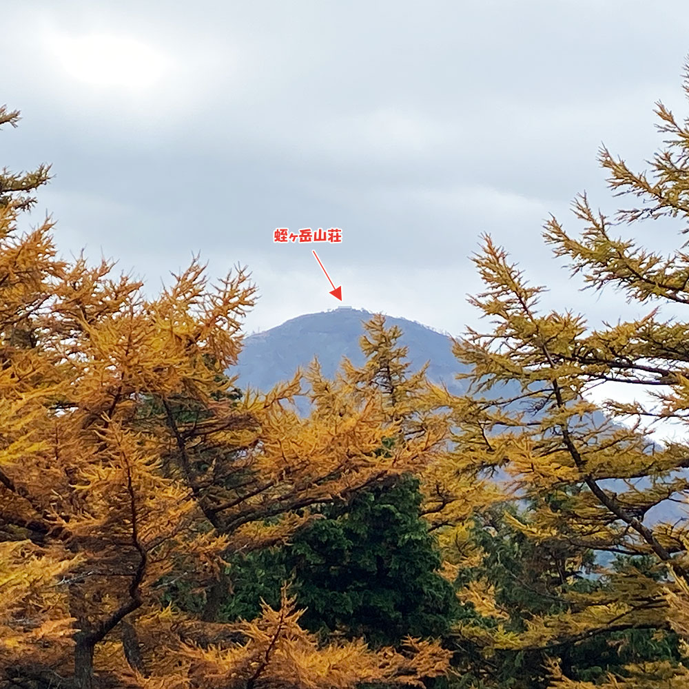 姫次から蛭ヶ岳山頂を望む!