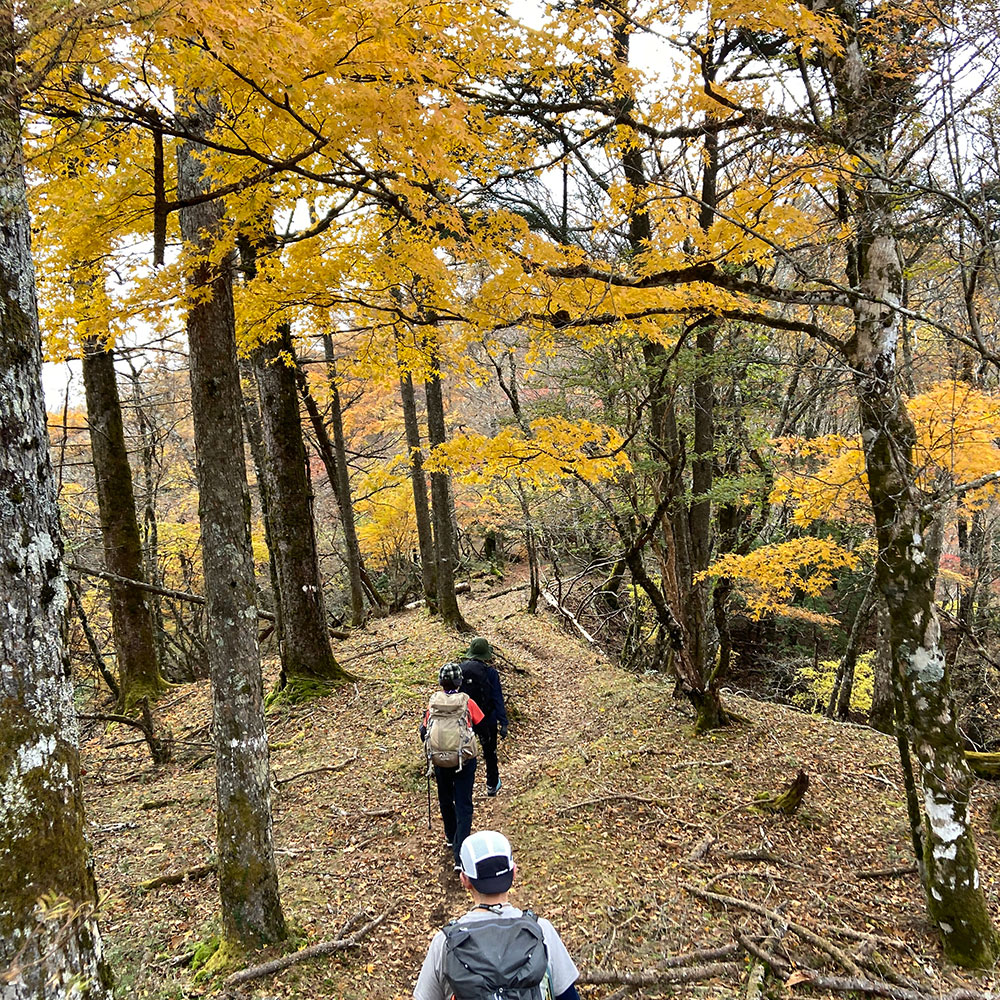 【蛭ヶ岳】姫次から蛭ヶ岳へ