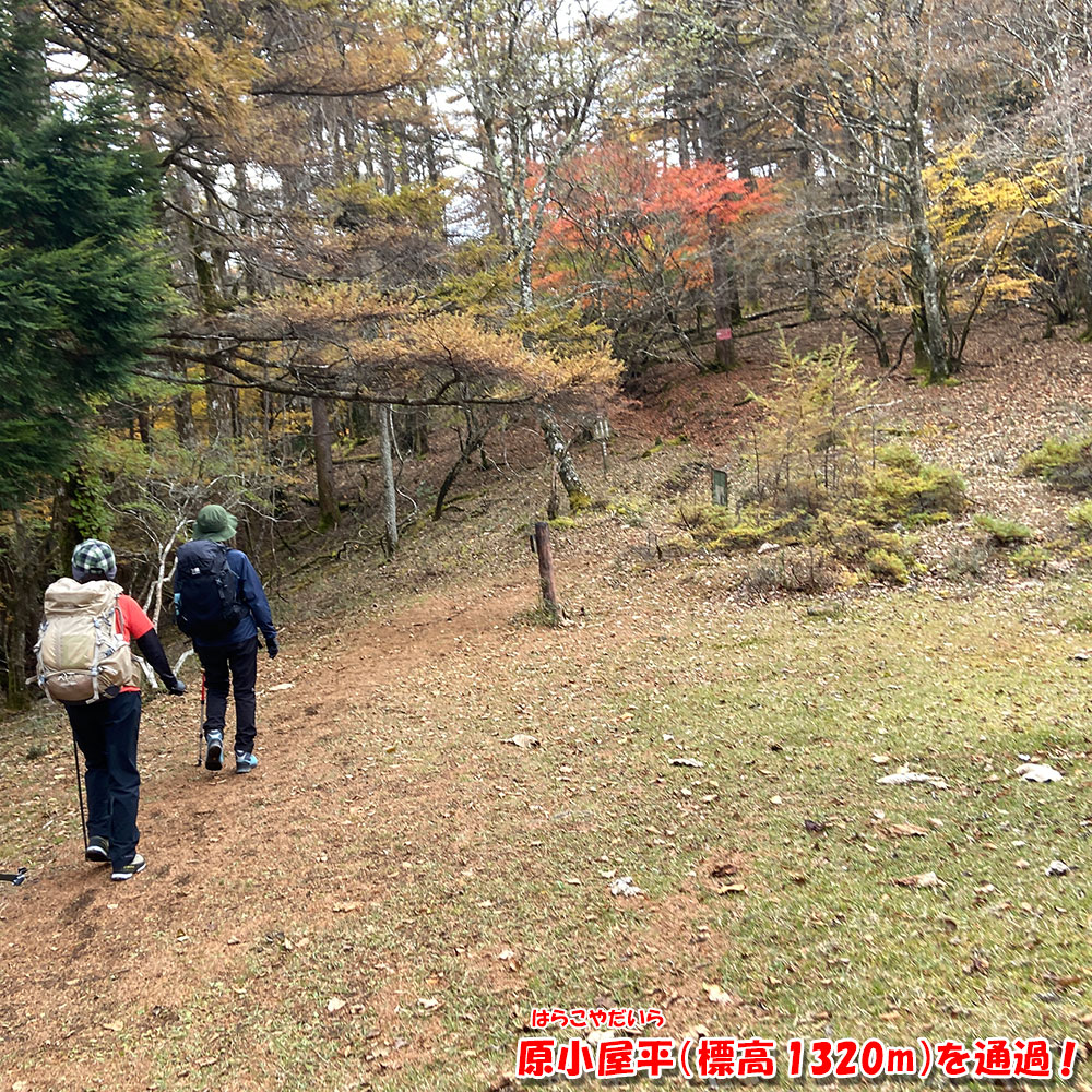 原小屋平(標高 1320m)を通過!