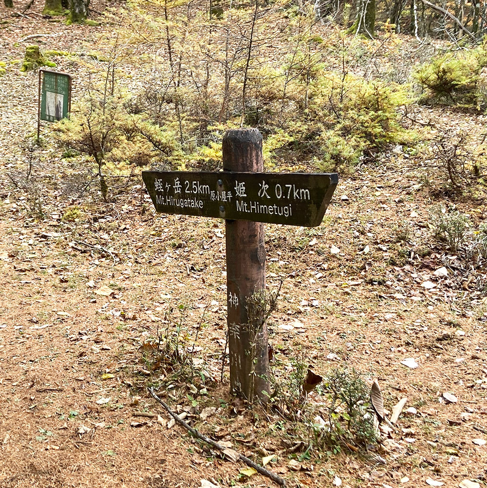 原小屋平(標高 1320m)