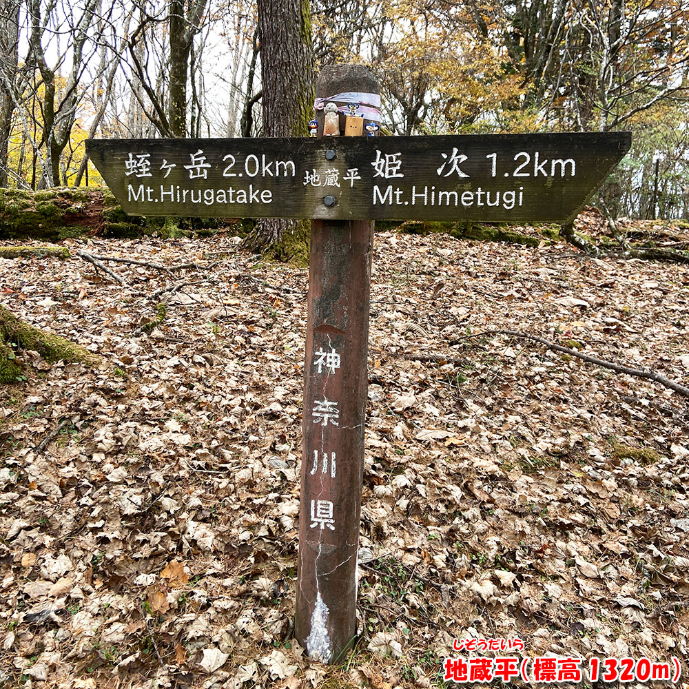 地蔵平(標高 1320m)