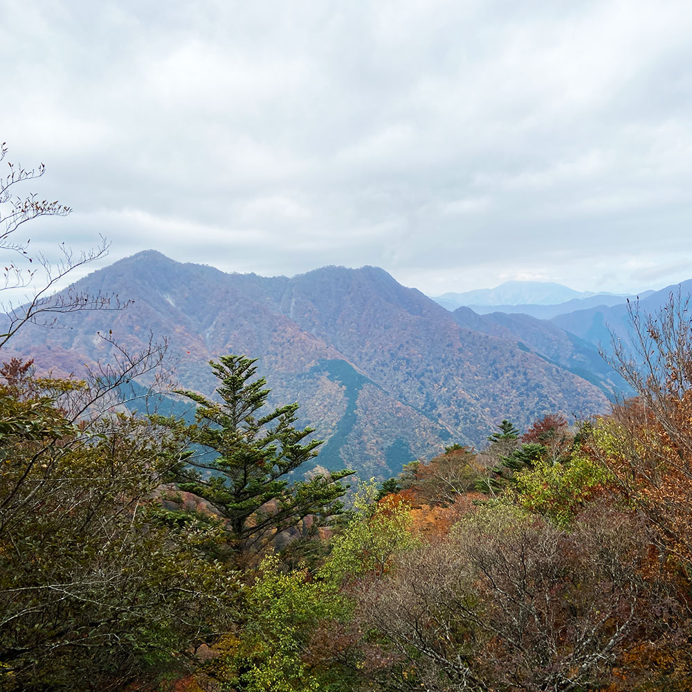 【蛭ヶ岳】姫次から蛭ヶ岳へ