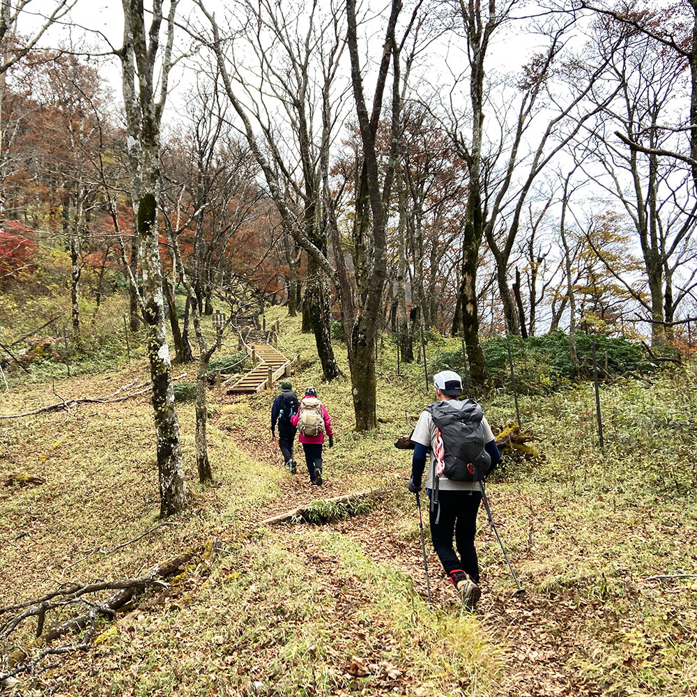 【蛭ヶ岳】姫次から蛭ヶ岳へ