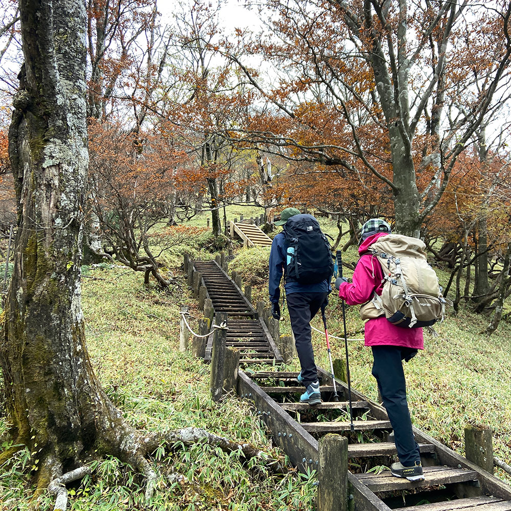 【蛭ヶ岳】姫次から蛭ヶ岳へ