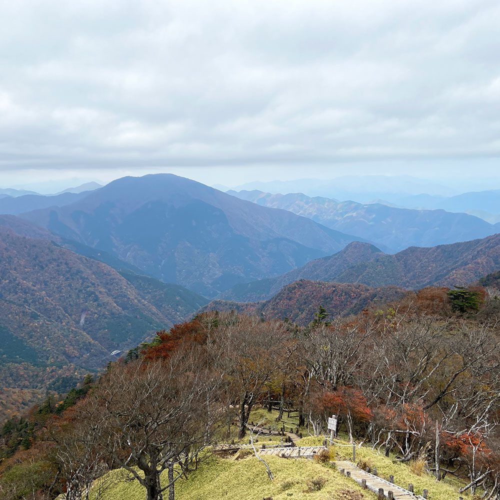 【蛭ヶ岳】姫次から蛭ヶ岳へ
