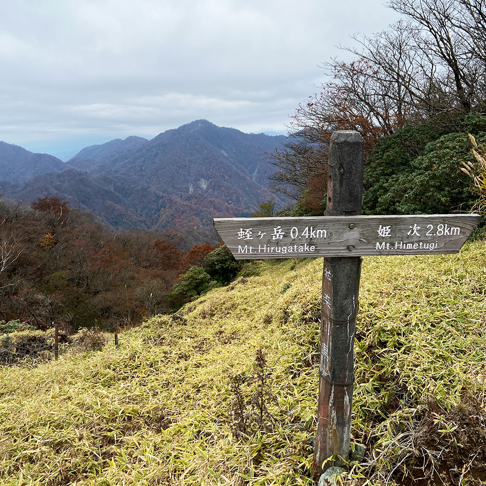 【蛭ヶ岳】姫次から蛭ヶ岳へ