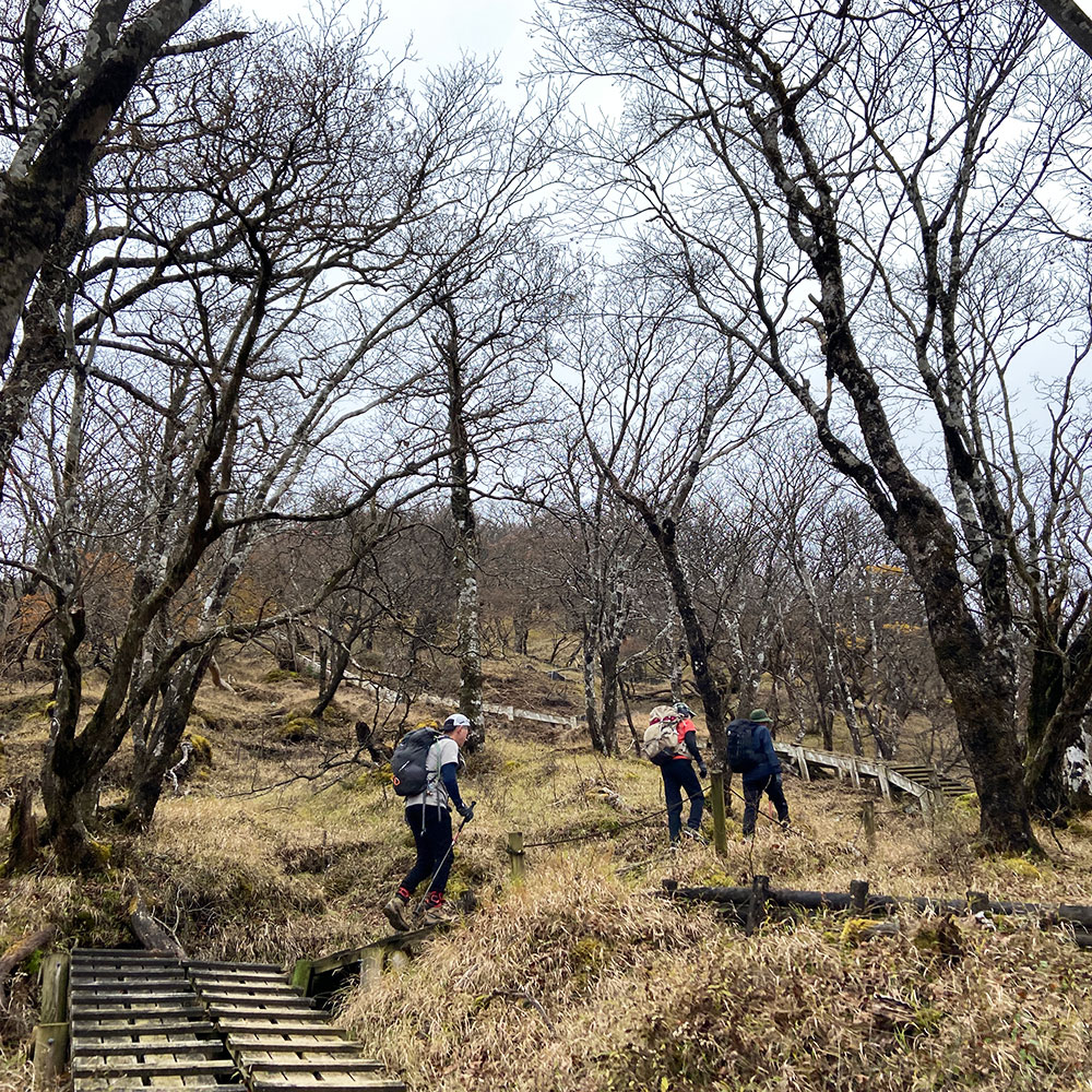 【蛭ヶ岳】姫次から蛭ヶ岳へ
