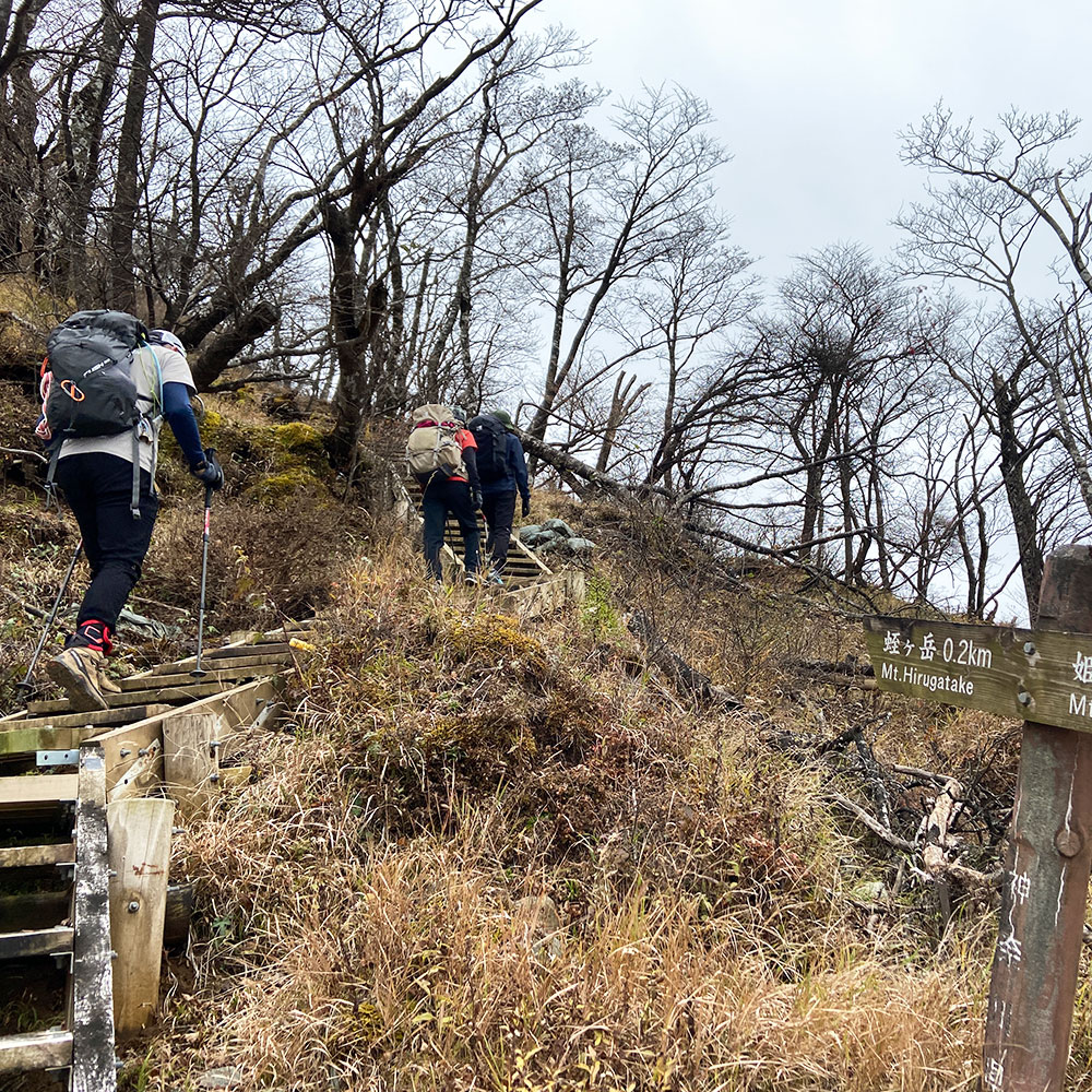 【蛭ヶ岳】姫次から蛭ヶ岳へ
