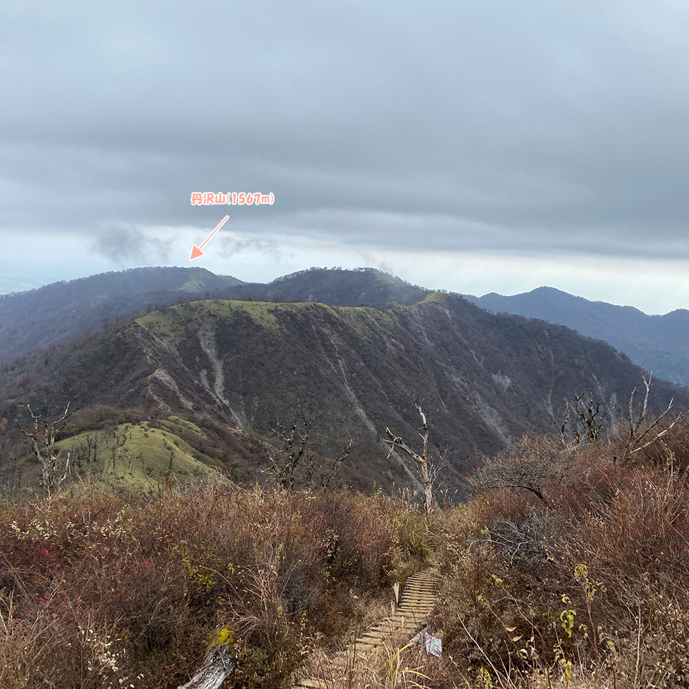 蛭ヶ岳から丹沢山を眺望!