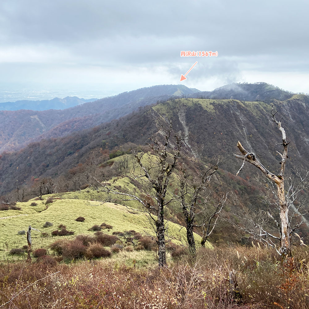 蛭ヶ岳から丹沢山を眺望!