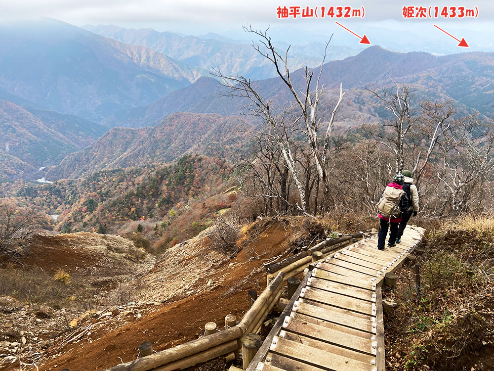 蛭ヶ岳から下山開始